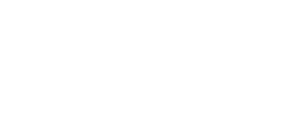 Secure cloudlink logo