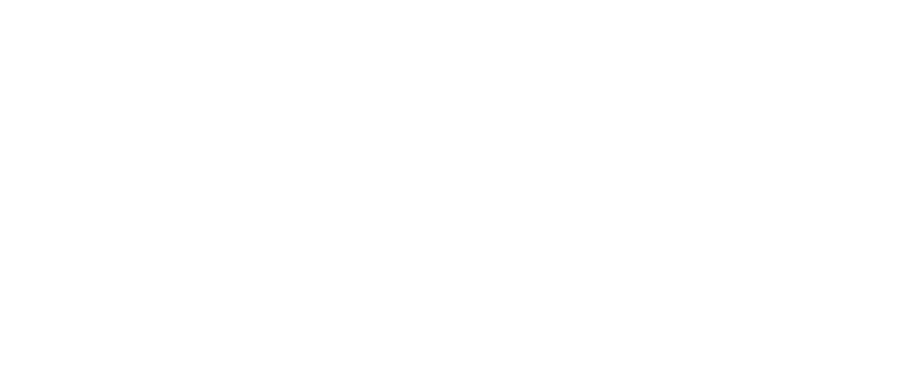 Ski focus logo